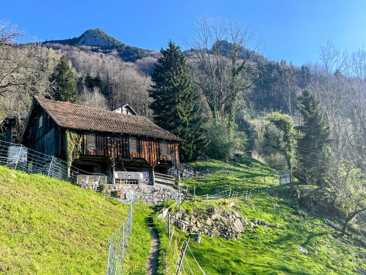 wanderung_brunnen_bütziflue_stockflue_urmiberg_
