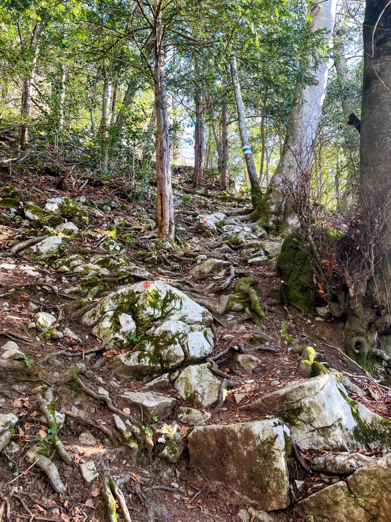 wanderung_brunnen_bütziflue_stockflue_urmiberg_