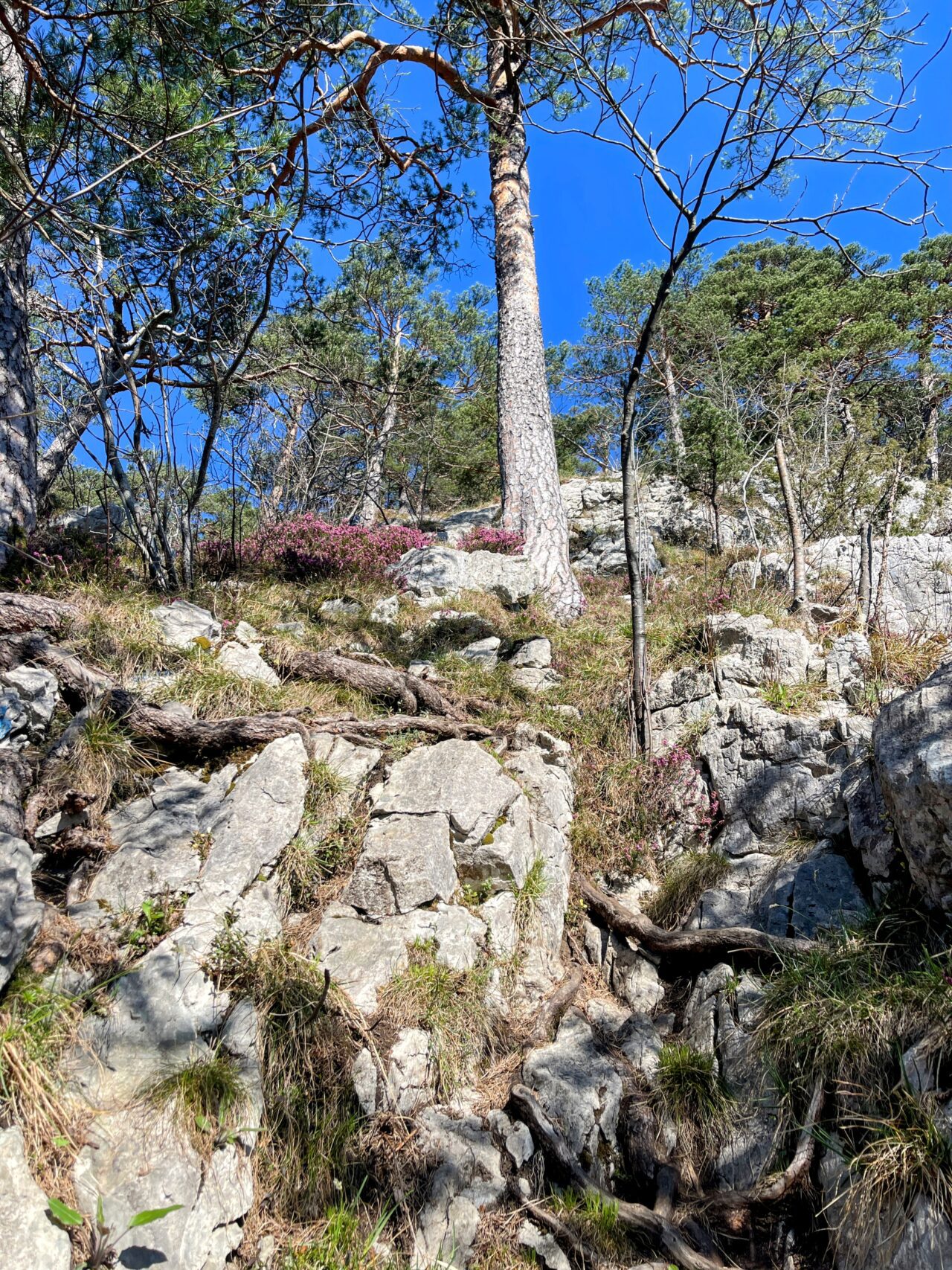 wanderung_brunnen_bütziflue_stockflue_urmiberg_