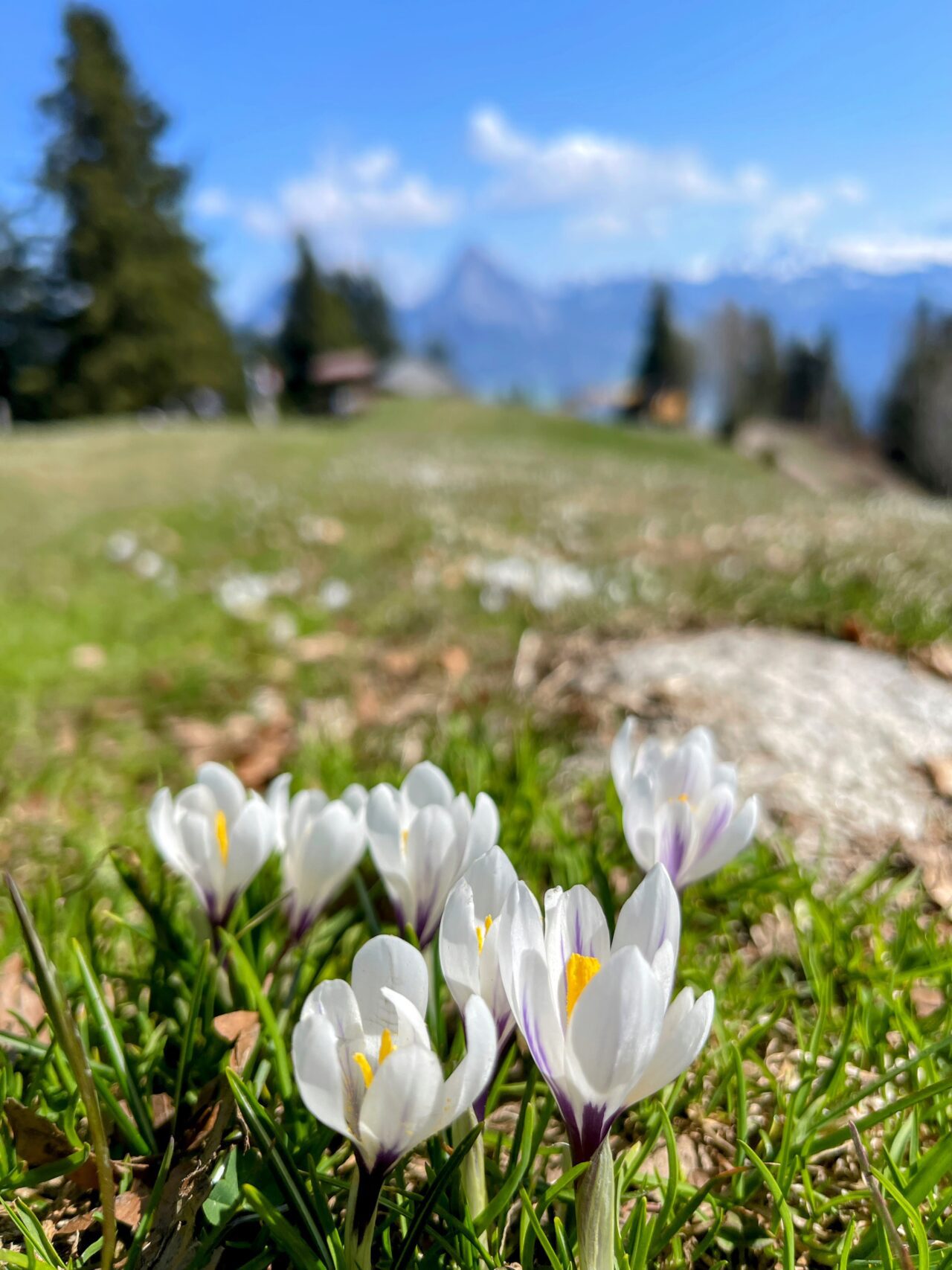 wanderung_brunnen_bütziflue_stockflue_urmiberg_