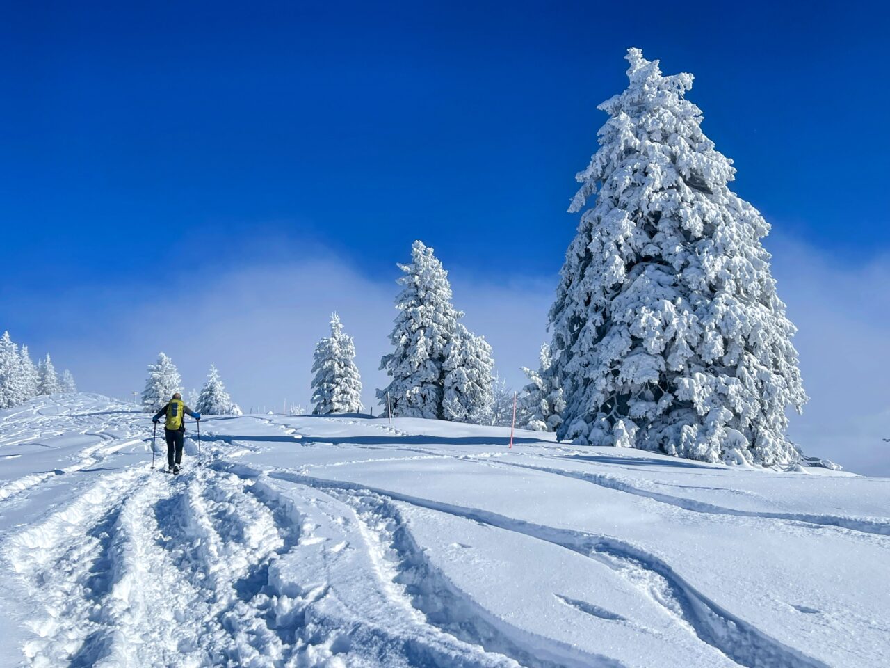 schneeschuhwanderung_rieden_tanzboden_