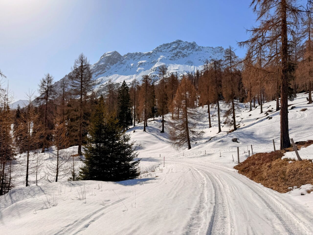 schneeschuhsafari_graubuenden_salouf_munter_